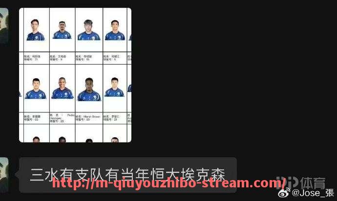 球友体育直播-2010年NBA火箭队赛季表现与球员评分回顾