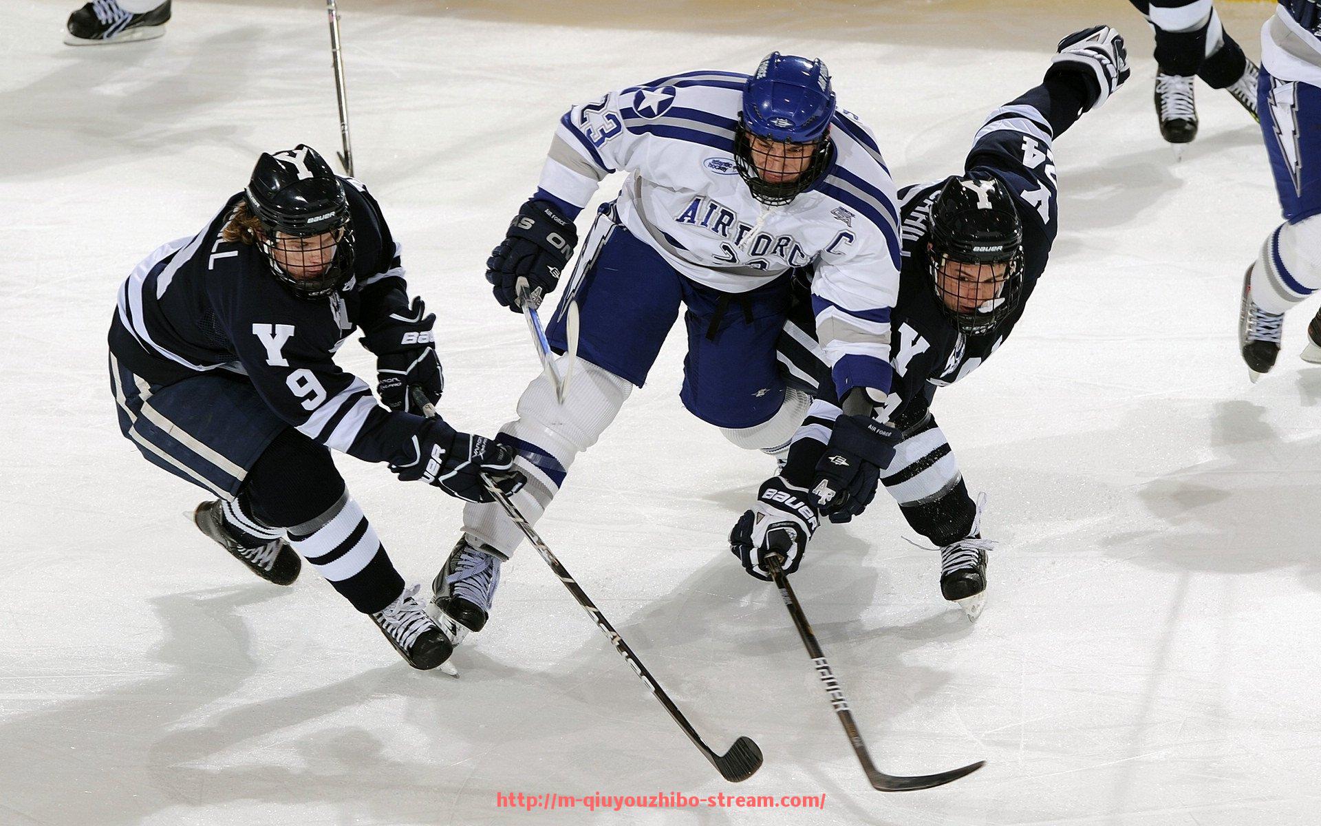 球友体育直播-休闲运动健身器材发展趋势及市场需求分析