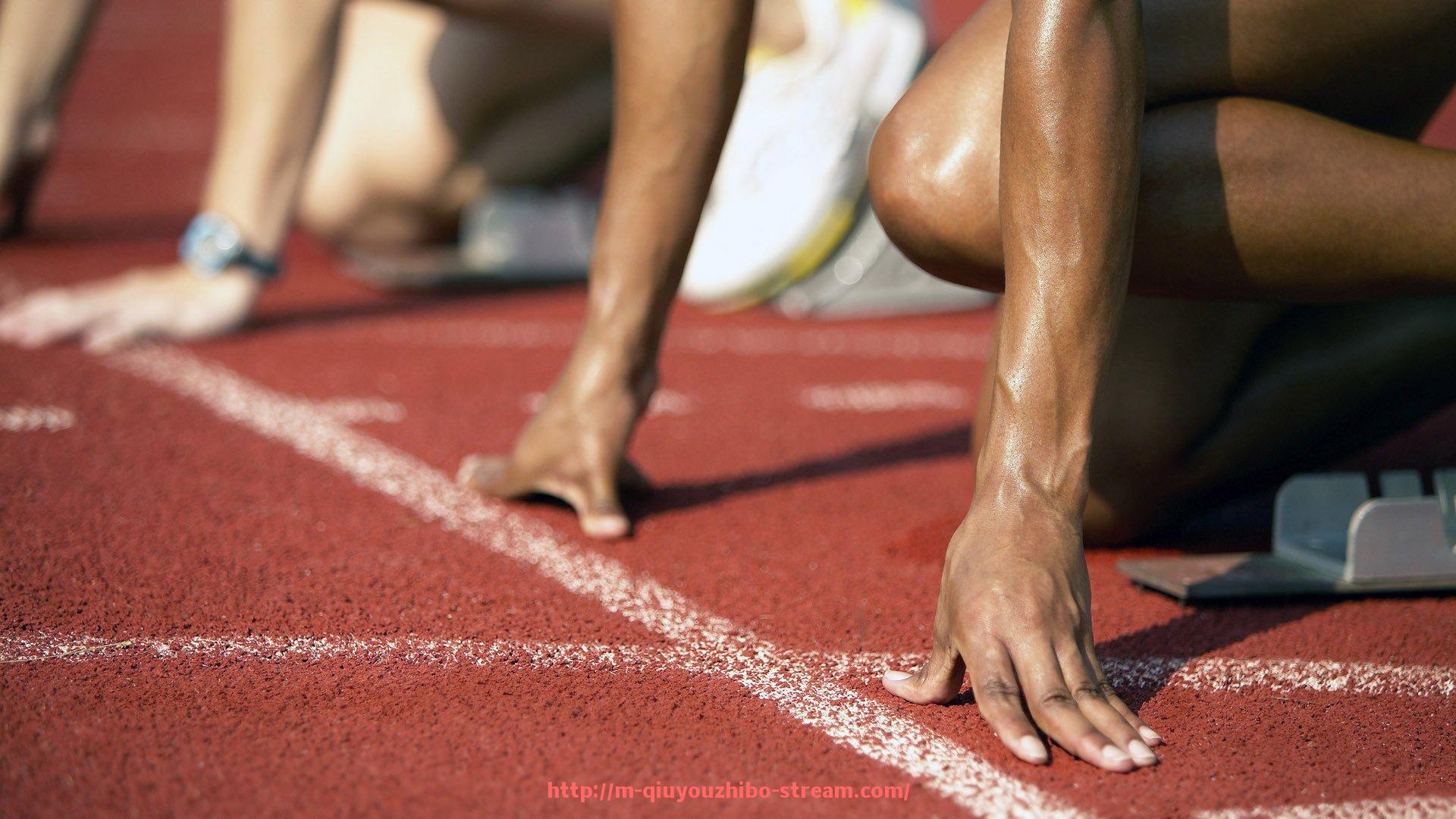 球友体育直播-哪些健身器材可以帮助减背部脂肪，塑造完美背影？